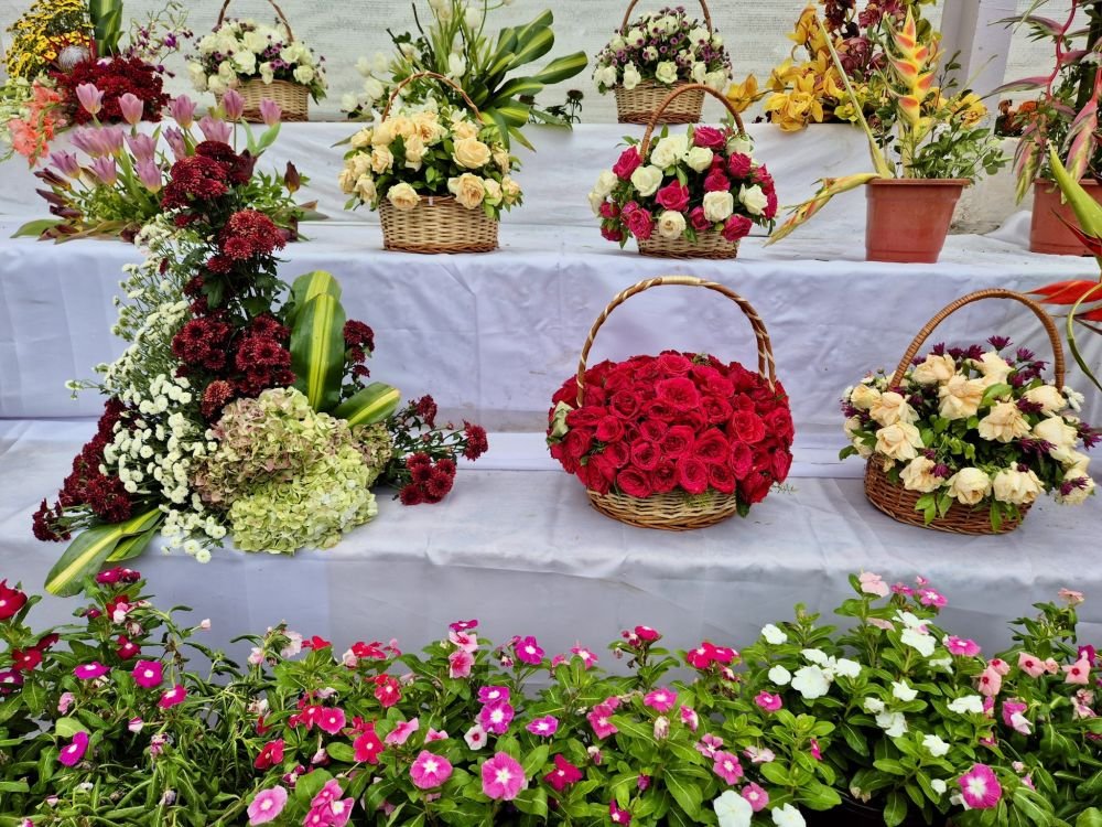 Flower baskets