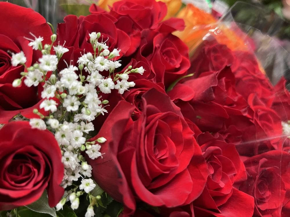 Roses & baby’s breath